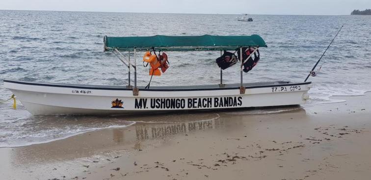 Ushongo Beach Bandas Pangani Buitenkant foto